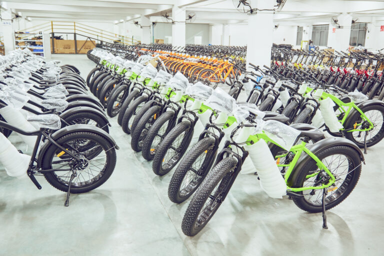 Haidong Ebike Manufacture/Ebike Wholesale