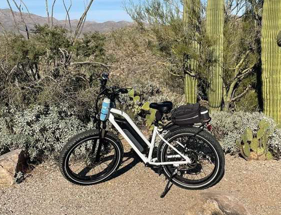 Haidong Ninja fat tire ebike3