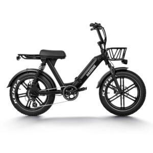 HAIDONG Challenger Electric Fat Bike1