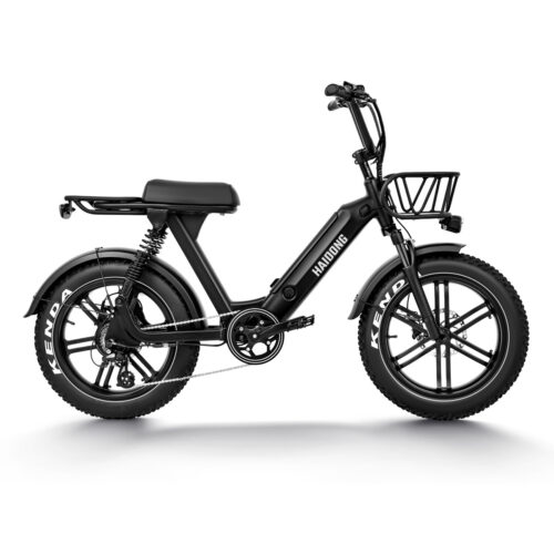 HAIDONG Challenger Electric Fat Bike1