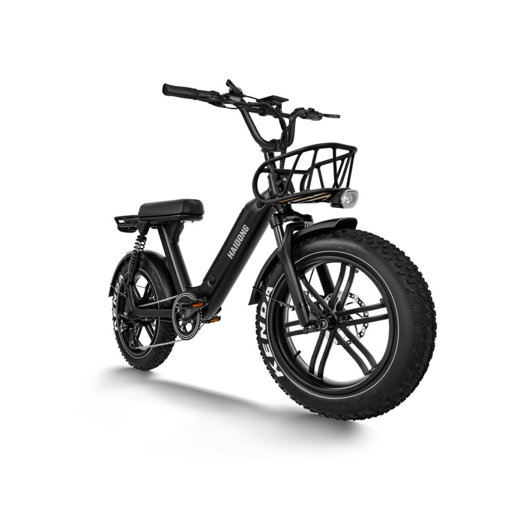 HAIDONG Challenger Electric Fat Bike2
