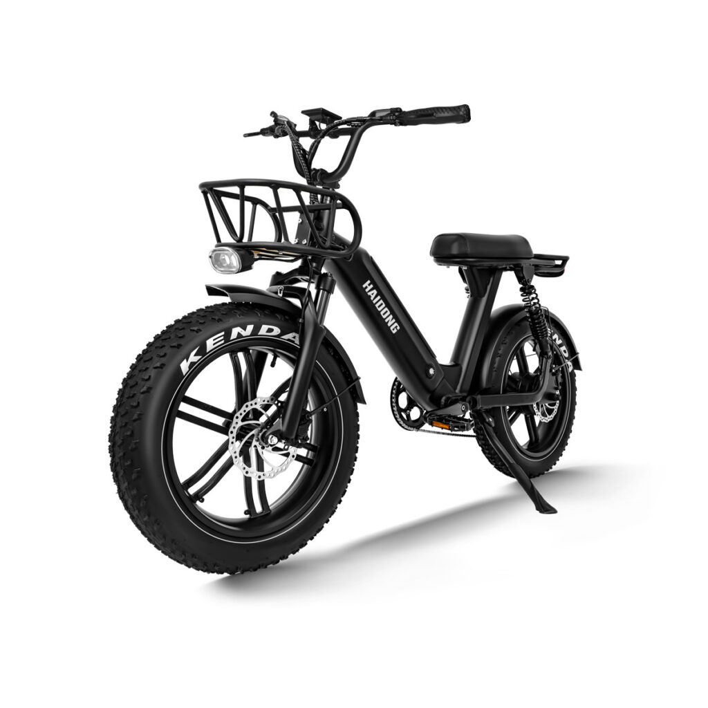 HAIDONG Challenger Electric Fat Bike3