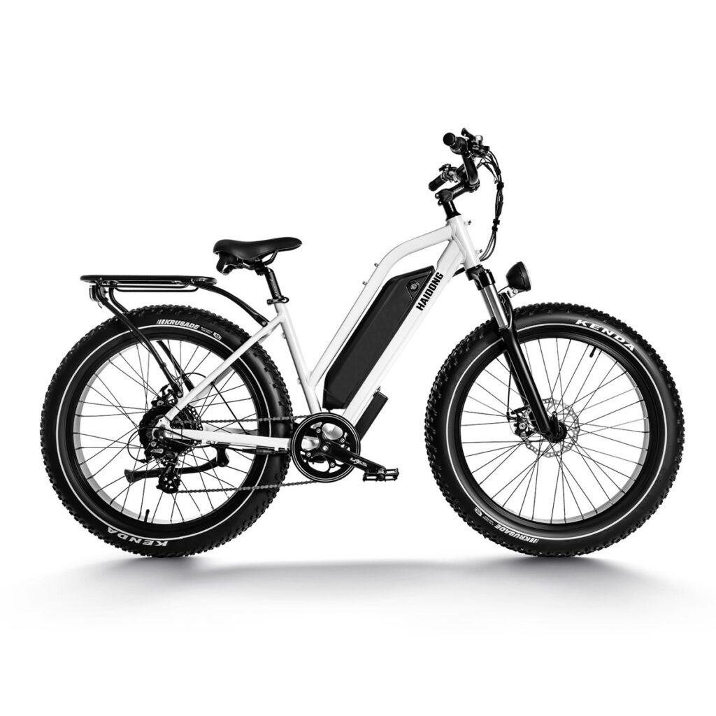 HAIDONG Ninja Electric Fat Bike1