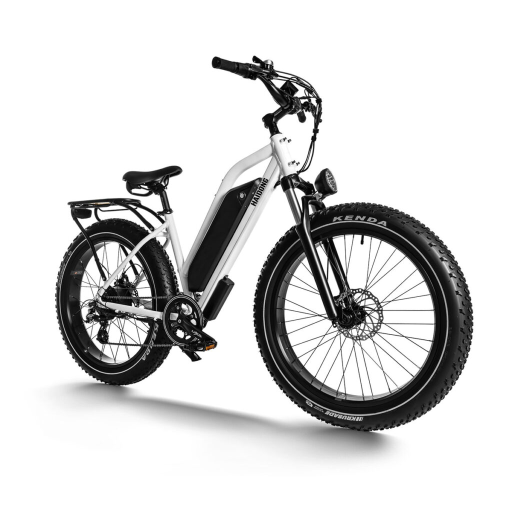 HAIDONG Ninja Electric Fat Bike2