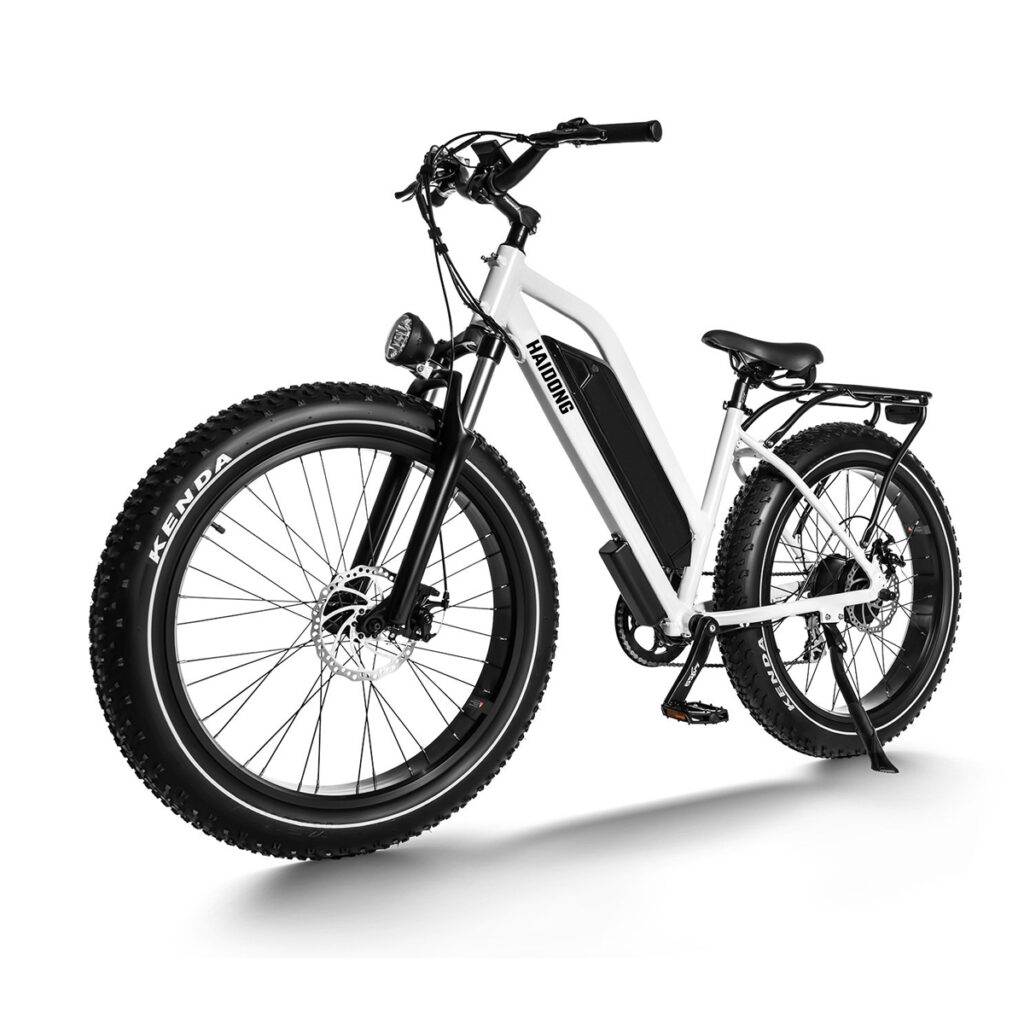 HAIDONG Ninja Electric Fat Bike3
