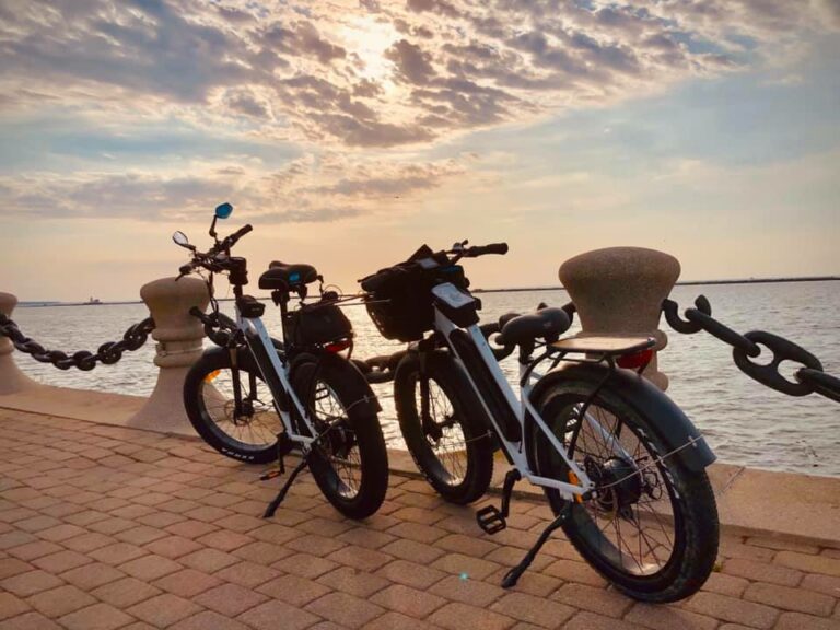 fat tire-ebike-Haidong bike