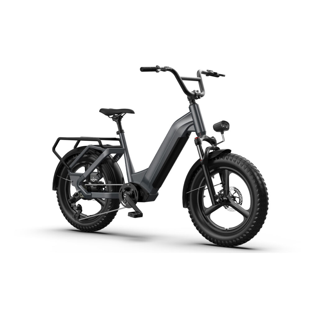 HAIDONG Multifunctional Ebikes Tank 2