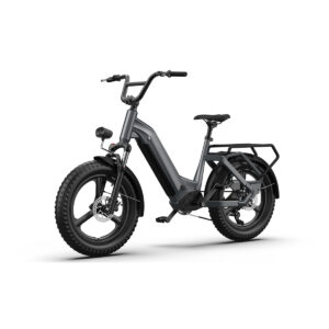 HAIDONG Multifunctional Ebikes Tank 4