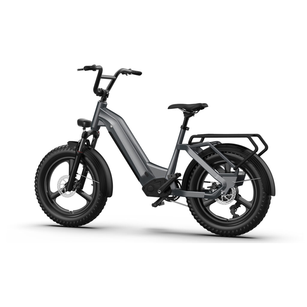 HAIDONG Multifunctional Ebikes Tank 5