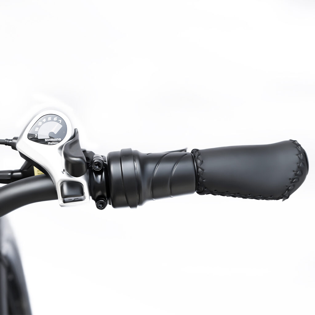 HAIDONG Whale Electric Fat Bike Handlebar