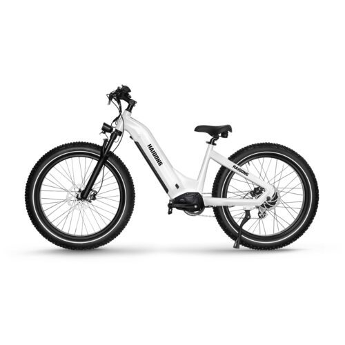HAIDONG Whale Electric Fat Bike 1