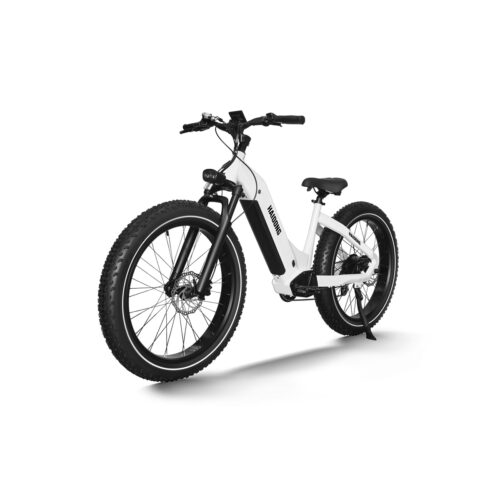 HAIDONG Whale Electric Fat Bike 2.