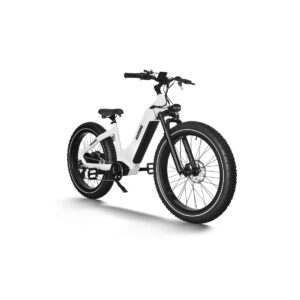 HAIDONG Whale Electric Fat Bike 4