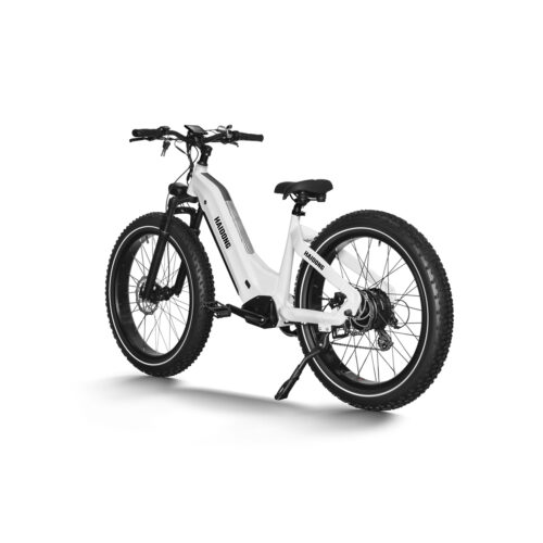HAIDONG Whale Electric Fat Bike 5