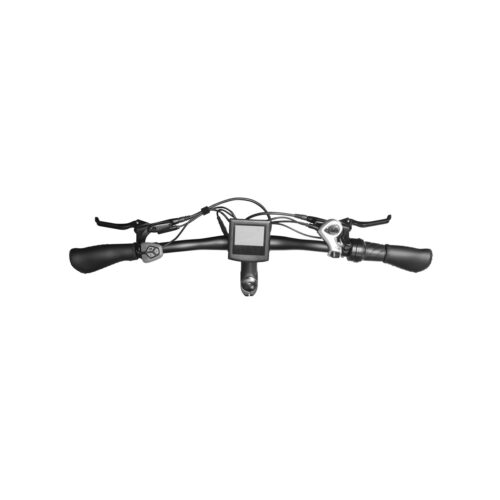 HAIDONG Whale Electric Fat Bike 7