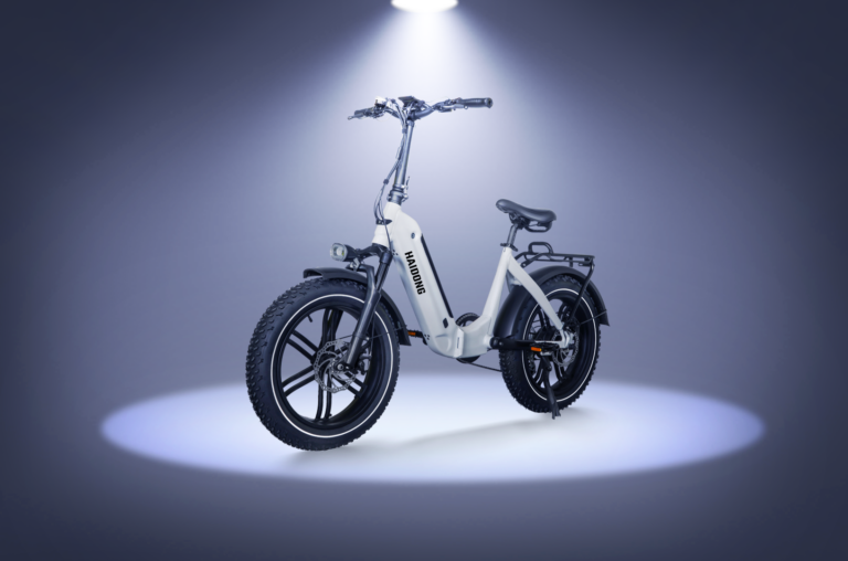 The New Break in the Foldable E-bike Fat Tire (2)