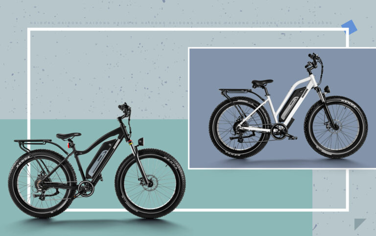 Ebike industry become fastest growing industry in 2022 post picture