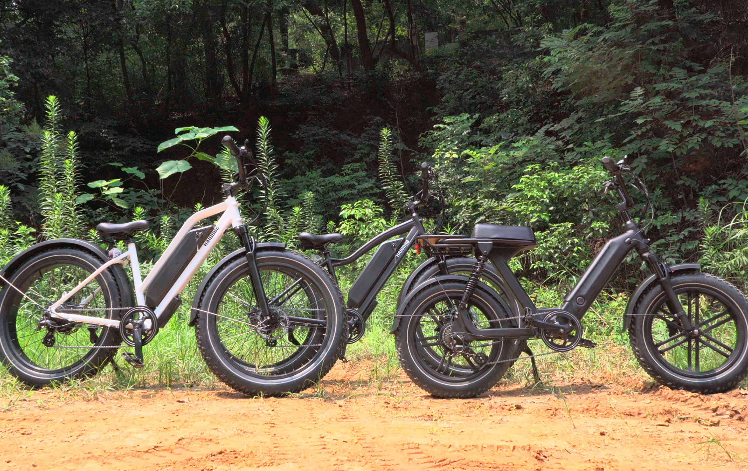 The Differences Between American and China E bikes Haidong