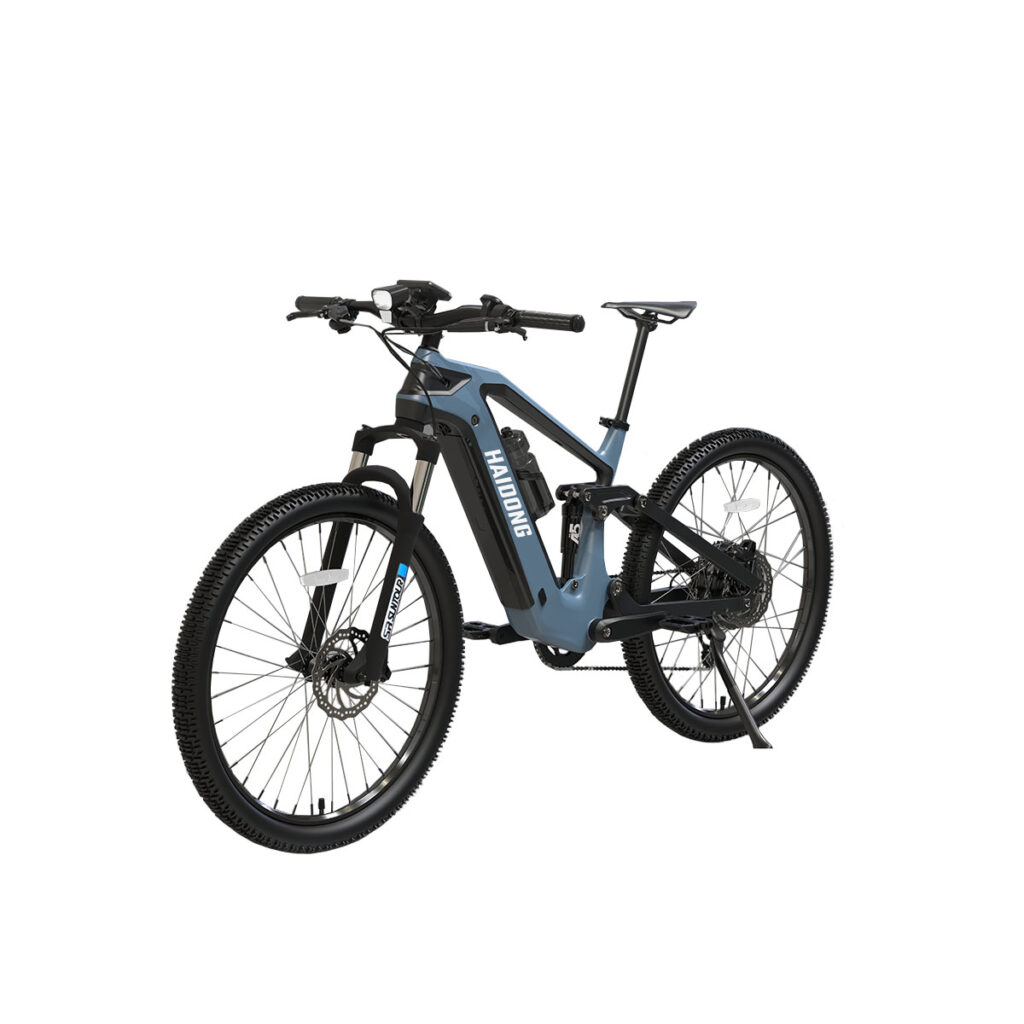 Wholesale Carbon Fiber Ebike Haidong Viber