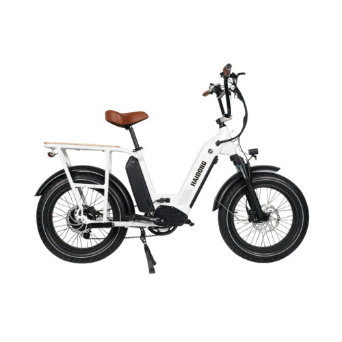 white commute ebike