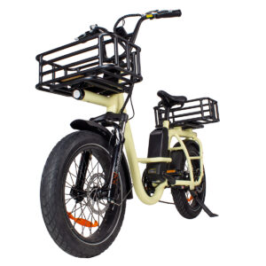 cargo ebike china