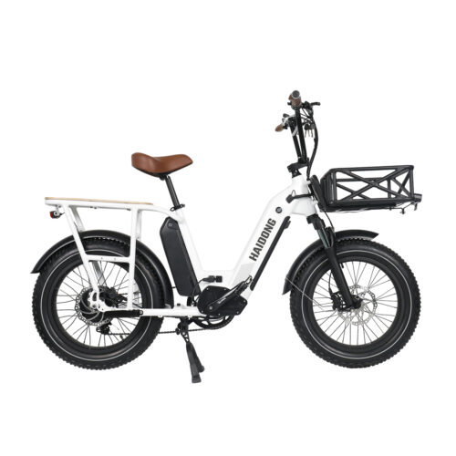 chinese white ebike with blanket