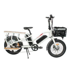 haidong cargo long distance ebike for delivery