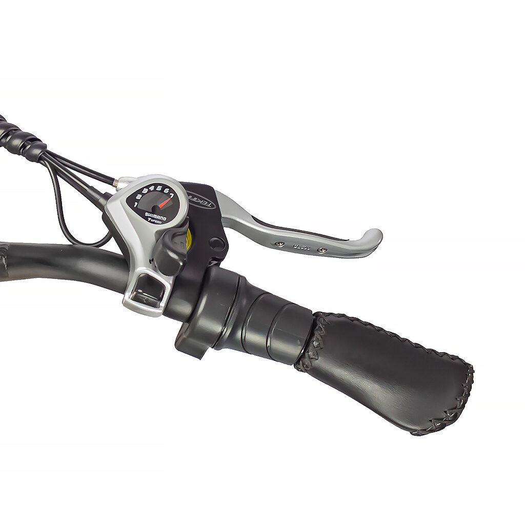 ebike throttle