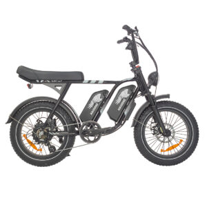 china e bike factory