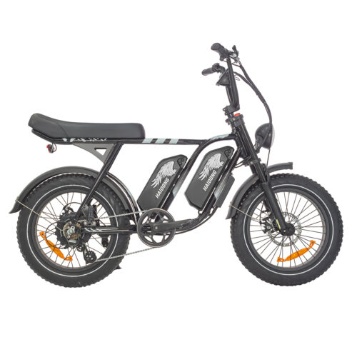 china e bike factory