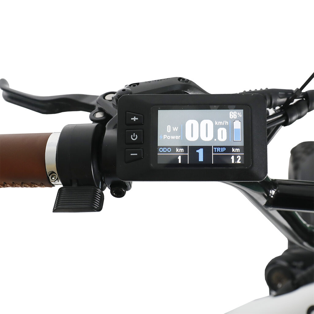 ebike display
