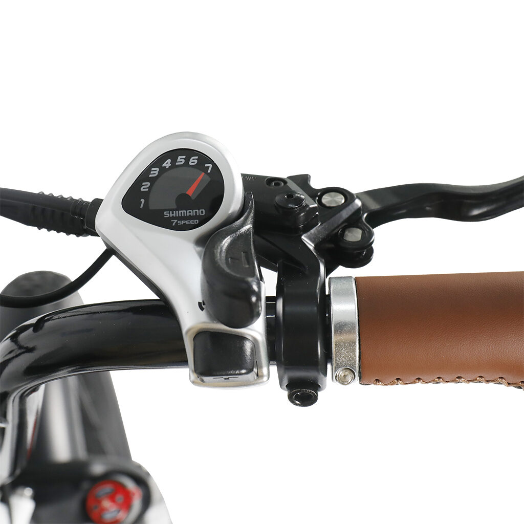 ebike shifter