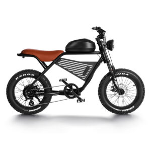 harley style ebike long range
