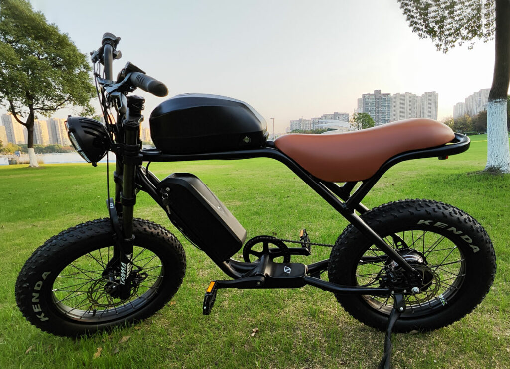 tough guy ebike