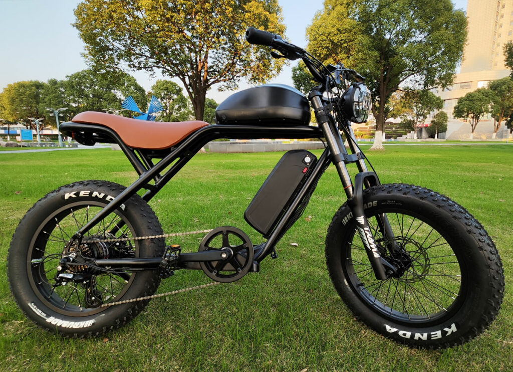 tough guy ebike1