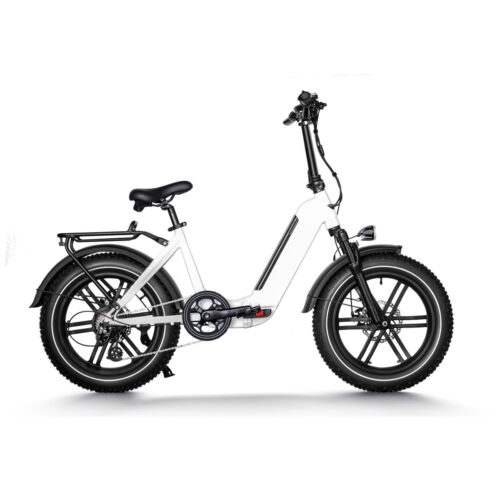 HAIDONG Agility Plus Electric Fat Bike 1 1