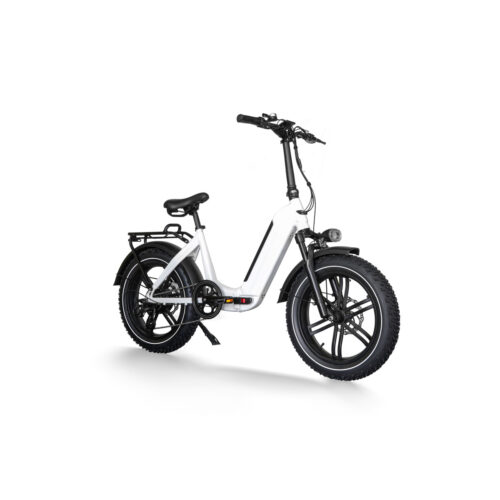 HAIDONG Agility Plus Electric Fat Bike 2.