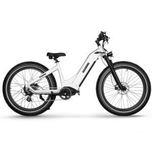 HAIDONG Whale Electric Fat Bike 3 1 1