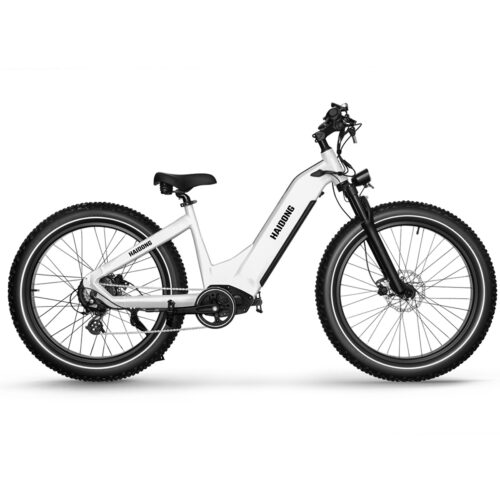 HAIDONG Whale Electric Fat Bike 3 1 1