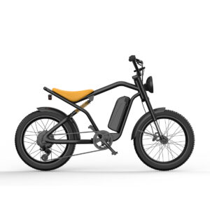 2023 Lightweight 500/750/1000w Commute eBike Sundowner
