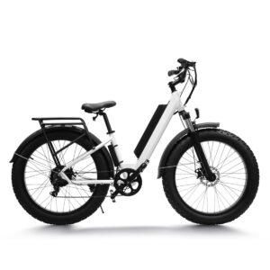 haidong ebike seal 48v 14ah