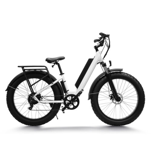 haidong ebike seal 48v 14ah