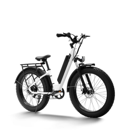 haidong ebike seal 48v 14ah commute