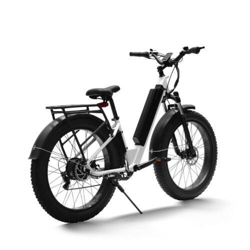 haidong ebike seal 48v 14ah ehite
