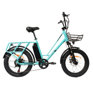 Fat tire city bike