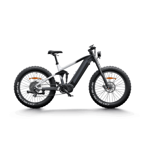 D3 PRO