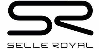 Haidong Ebike selle royal